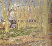 Vincent Van Gogh Avenue of Plane Trees near Arles Station (nn04) oil painting